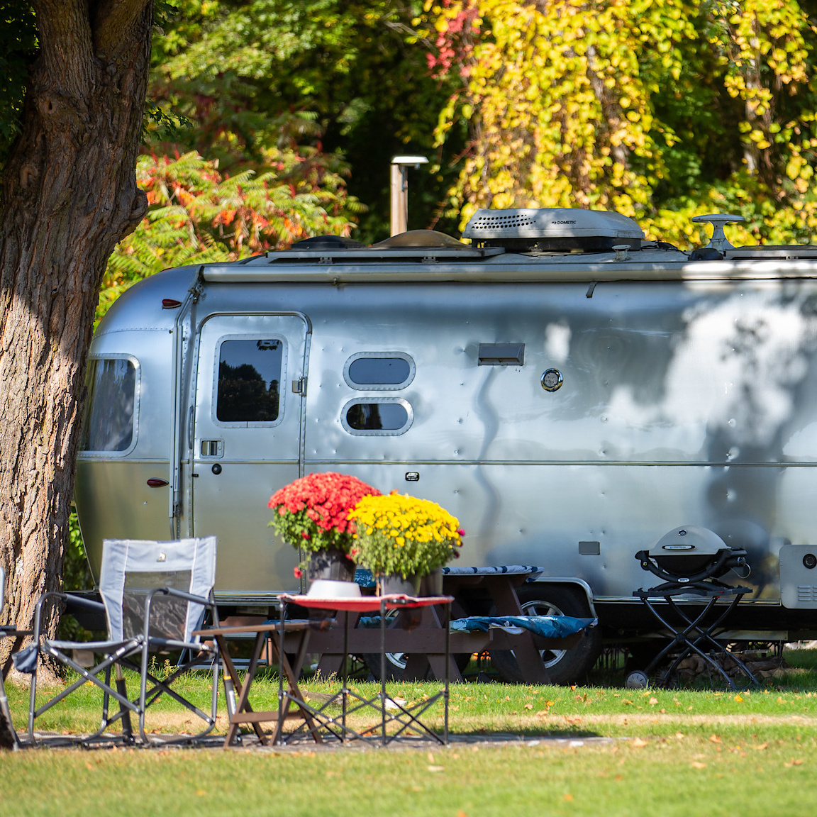 50amp Campsite